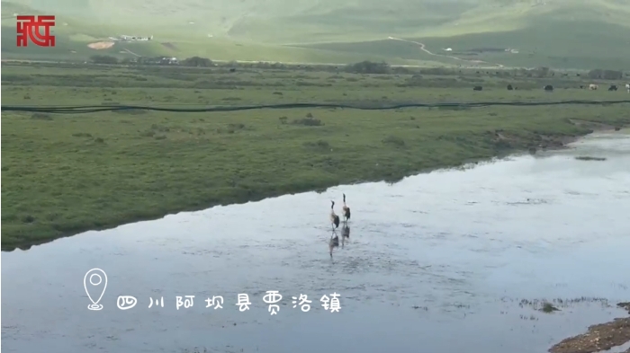 微信截图_20250616184831.png