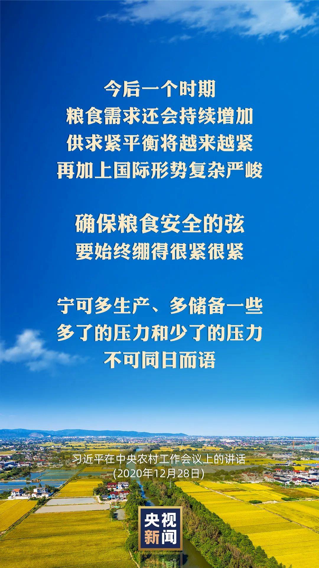 习近平：以国内稳产保供的确定性来应对外部环境的不确定性