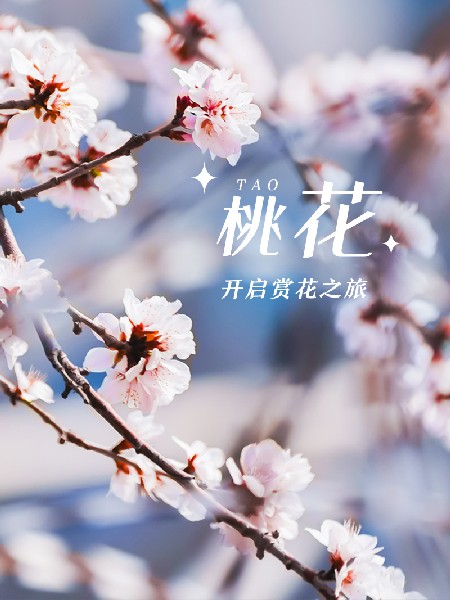 追花指南第三期！别等了 今天就去和桃花撞个满怀