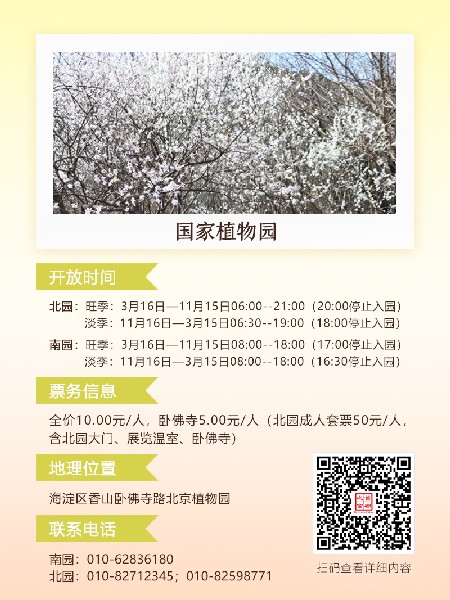 追花指南第六期！杏花雨 杨柳风 北京最美的杏花在这里