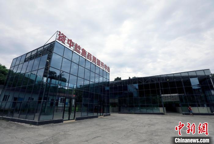 四川资中：“中国鲶鱼之乡”鲶鱼游出致富路