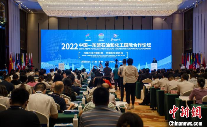 （聚焦东博会）李寿生：开创中国东盟石化行业深度融合发展的新局面