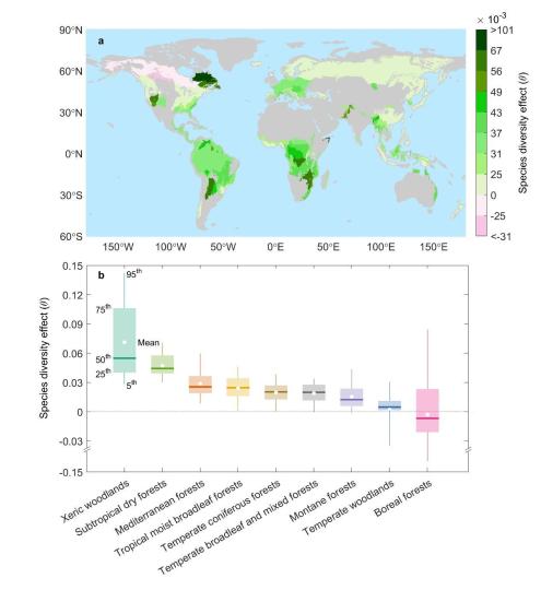 中国绘制世界首幅全球树种多样性对森林抵抗力影响空间分布图