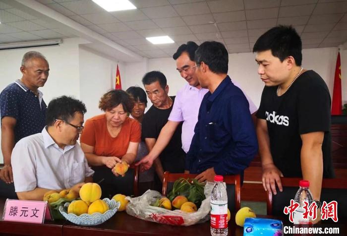 民进浙江省委会为三里桥黄桃种植户送技术、送指导。　嘉善统战 供图