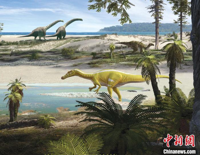 前景中是棘龙类新物种，远处是一只禽龙和两只蜥脚目恐龙(Oscar Sanisidro绘制)。　施普林格·自然 供图