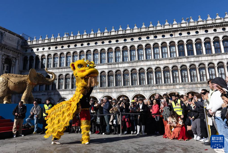 2月13日，人们在意大利威尼斯圣马可广场观看舞狮。新华社记者 李京 摄