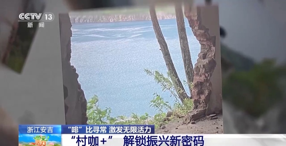 开云官网不产咖啡豆的浙江安吉 为啥有这么多“村咖”？(图3)