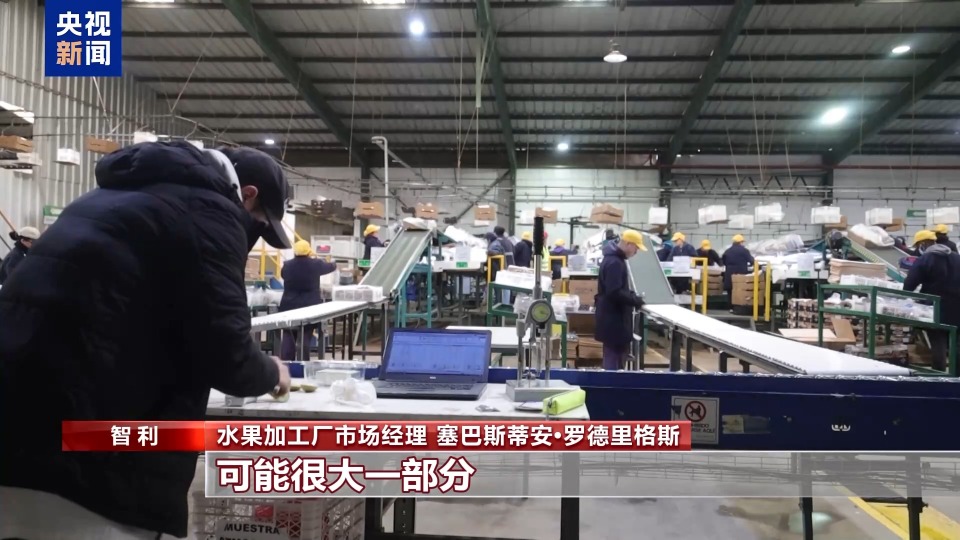 开云体育入口总台记者探访丨应季的水果棘手的关税 智利水果产业“愁”(图4)