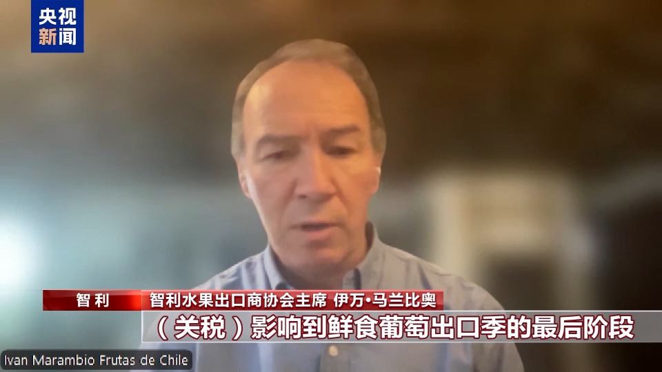 开云体育入口总台记者探访丨应季的水果棘手的关税 智利水果产业“愁”(图5)