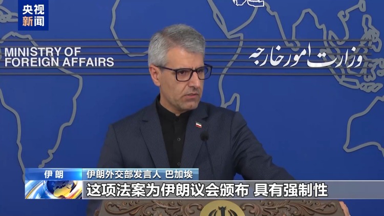 伊朗外交部发言人：伊朗正在记录以色列的侵略和犯罪行径