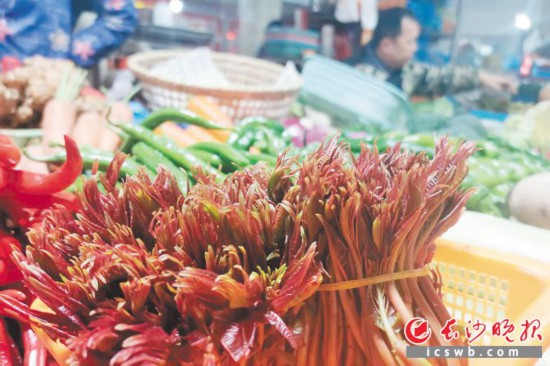 　　农贸市场里鲜嫩的香椿。　　均为长沙晚报全媒体记者 刘捷萍 摄