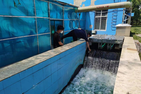 邯郸市鸡泽县蓝天污水处理厂员工正在出水口进行水质检测。郑佳欣摄