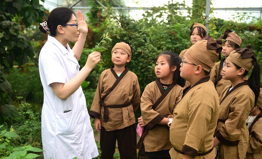 参加活动的孩子聆听沧州市人民医院国医馆中医对中药材的讲解。 傅新春摄