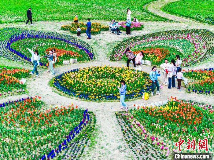 雷火竞技平台湖南东安“春日经济”持续升温 孕育新兴消费场景(图1)