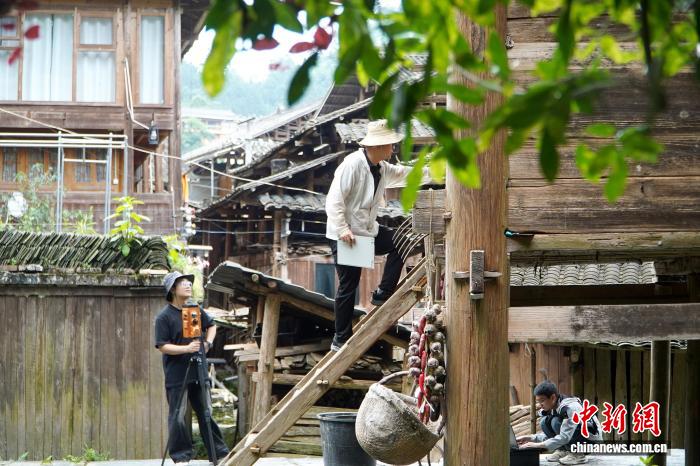 贵州给古建筑做“生物病害专项体检”(图1)