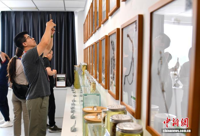 （活力中国调研行）探访雄安新区生态环境监控中心