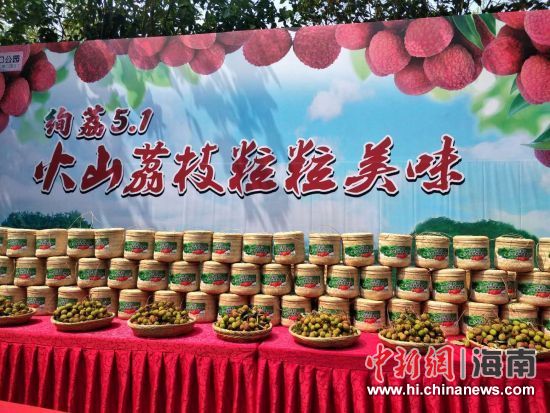 图为活动现场。苏桂除 摄