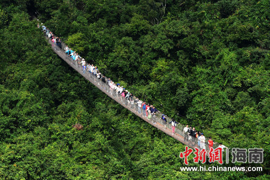 图为中外游客畅游三亚亚龙湾热带天堂森林旅游区的情景。（黄庆优摄）