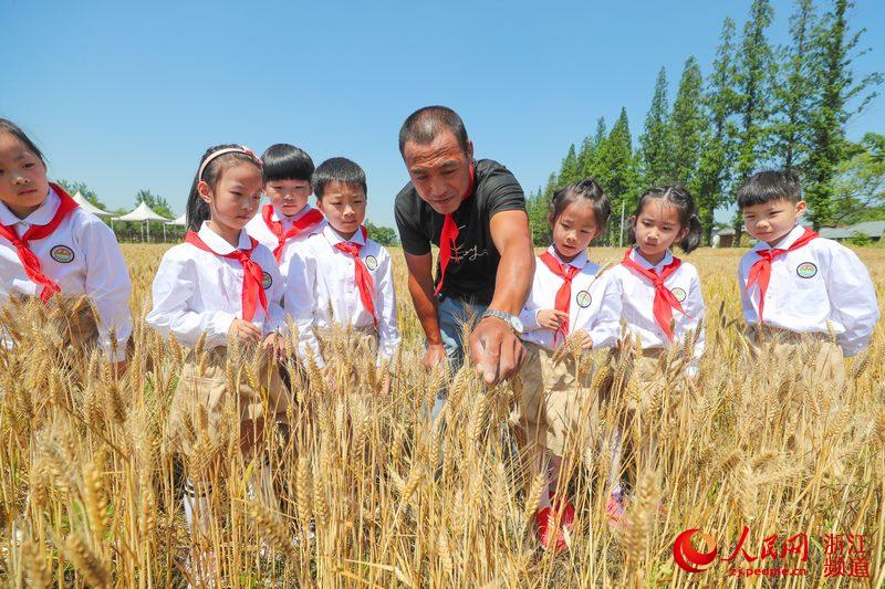 浙江德清:“小满”时节学知识