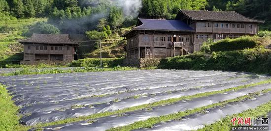 同练瑶族乡产业扶贫 。