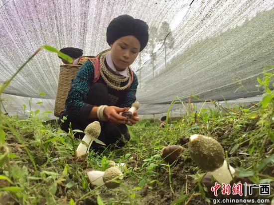 图为赵燕梅。