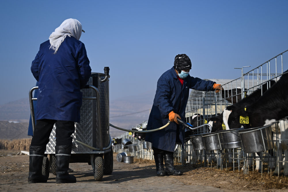 牢牢守住不发生规模性返贫致贫底线——西部脱贫地区“5年过渡期”一线观察