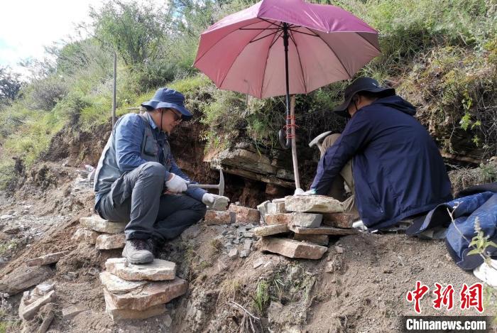 科研人员野外采集热鲁盆地动植物化石。　中科院青藏高原所 供图