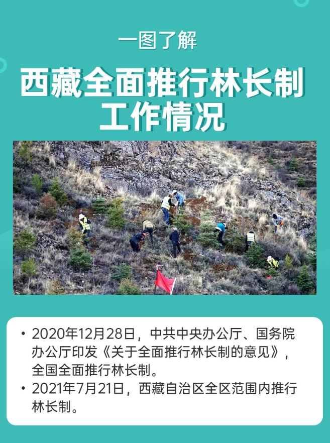 企业微信截图_20220707211648.png