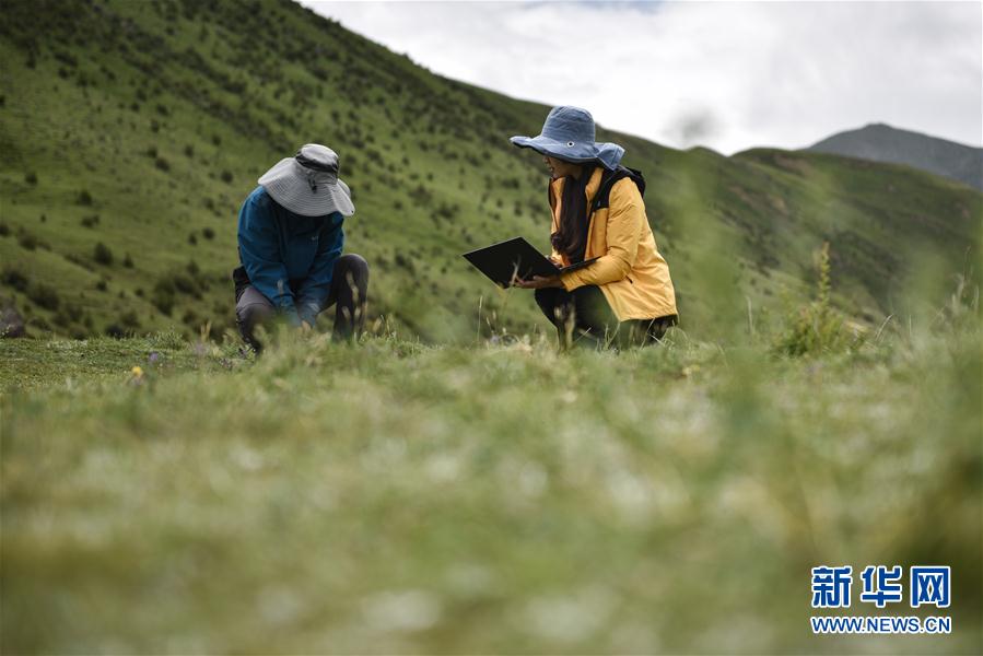 （环境）（8）直击2020年江源综合科考