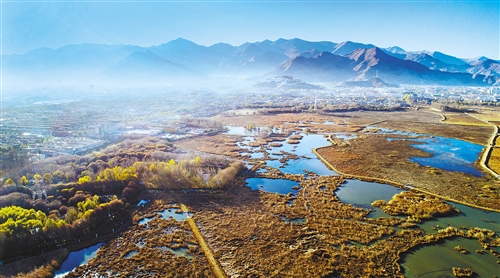 拉萨市拉鲁湿地（2017年11月23日摄）。 新华社记者 普布扎西摄.jpg