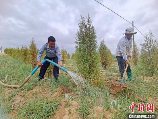 图为扎西和村民给树浇水。　祁增蓓　摄