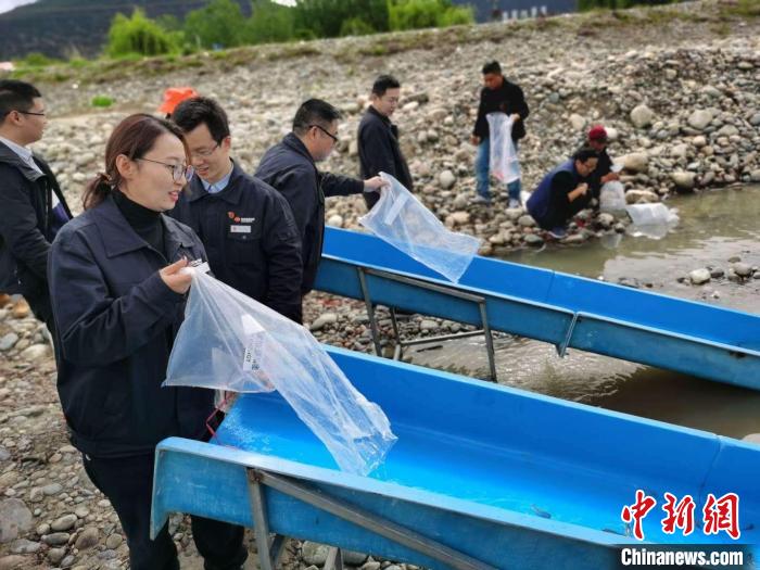 尼洋河珍稀鱼类物种保护彰显鱼“水”深情