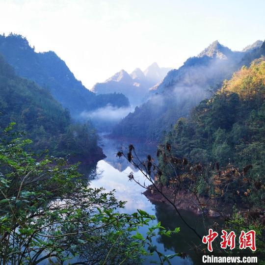 黄荆老林自然保护中心成立探索生态保护与社区经济发展平衡