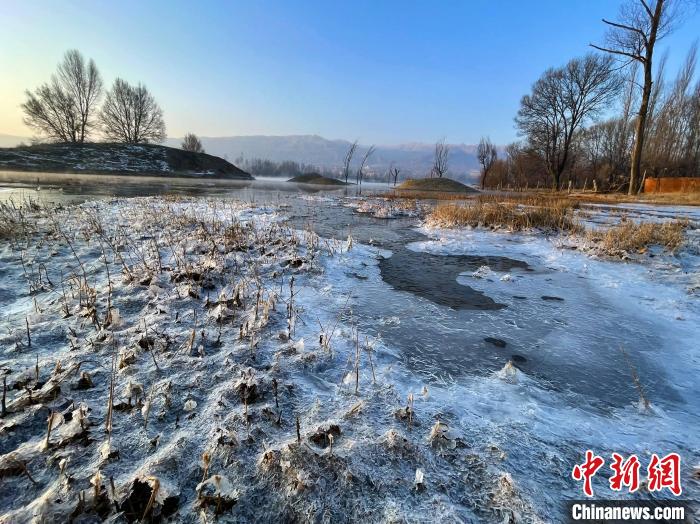 图为青海省化隆县黄河湿地景色。　李玉峰 摄