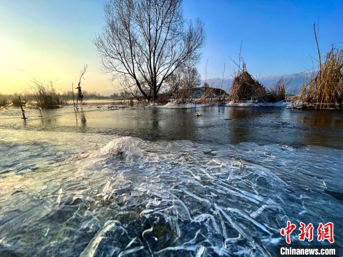图为青海省化隆县黄河湿地景色。　李玉峰 摄