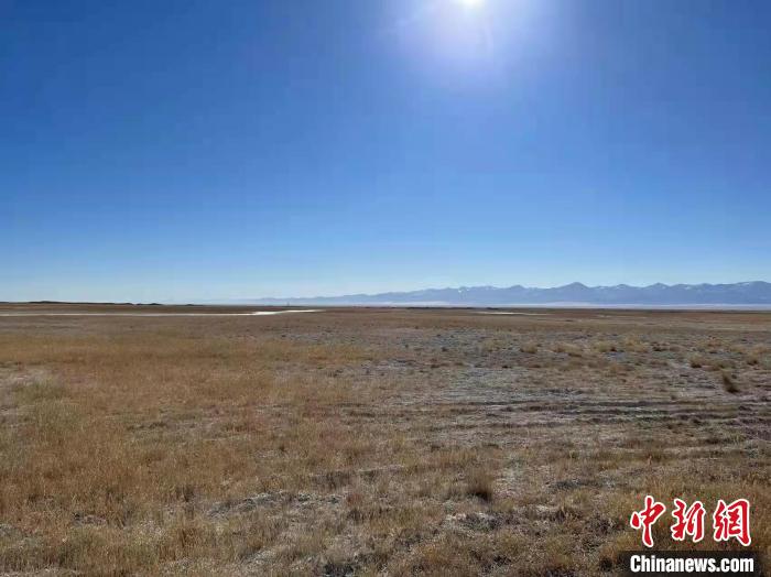 青海茫崖修復生態新增昆侖山下綠化面積100畝