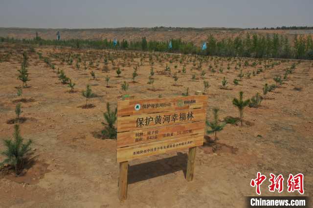 中国3000多万网友用手机为黄河种下“幸福林”