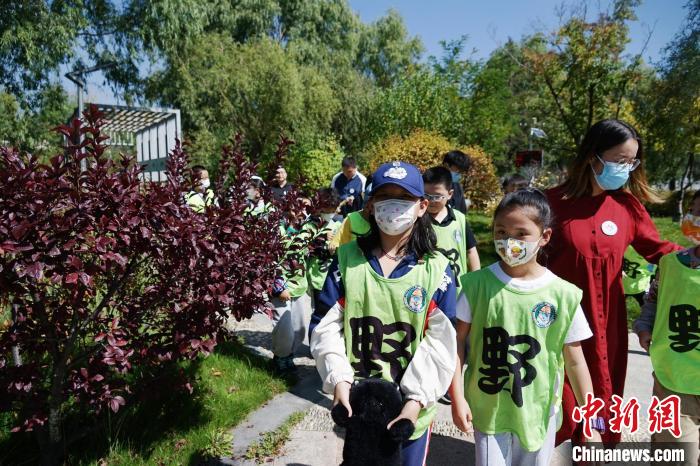 图为小朋友在青海西宁湟水国家湿地公园内认识植物。　马铭言 摄