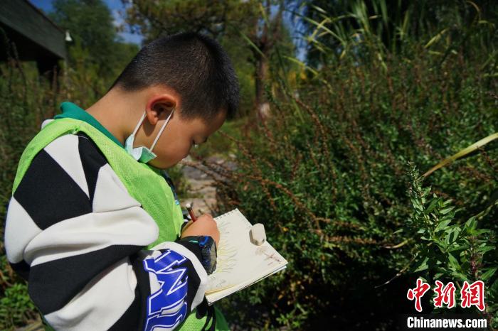 图为小朋友在青海西宁湟水国家湿地公园内认识植物并进行绘画。　马铭言 摄