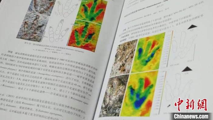 专著相关内容 四川自贡恐龙博物馆 供图
