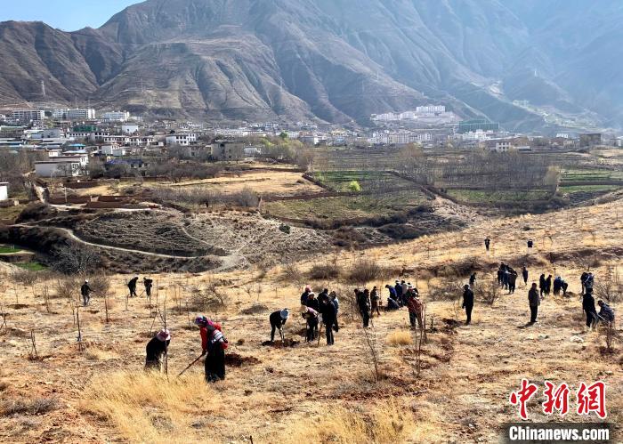 民众栽种苗木。　昌都市芒康县委宣传部供图