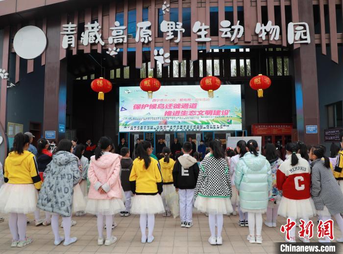 图为青海省西宁市开展第42届“爱鸟周”科普宣传活动。　马铭言 摄