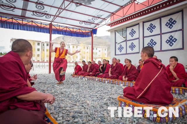 中国藏语系高级佛学院到西藏招收博士僧啦