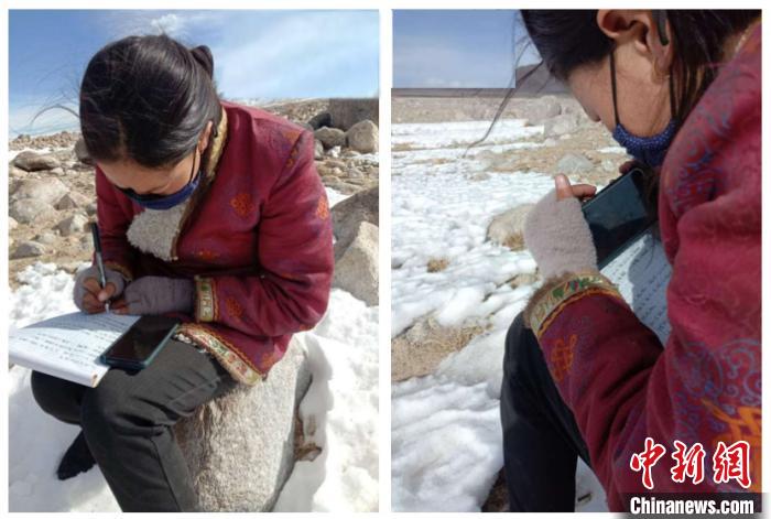 藏族姑娘的“云”上师生缘：告别4500米雪山“追网”