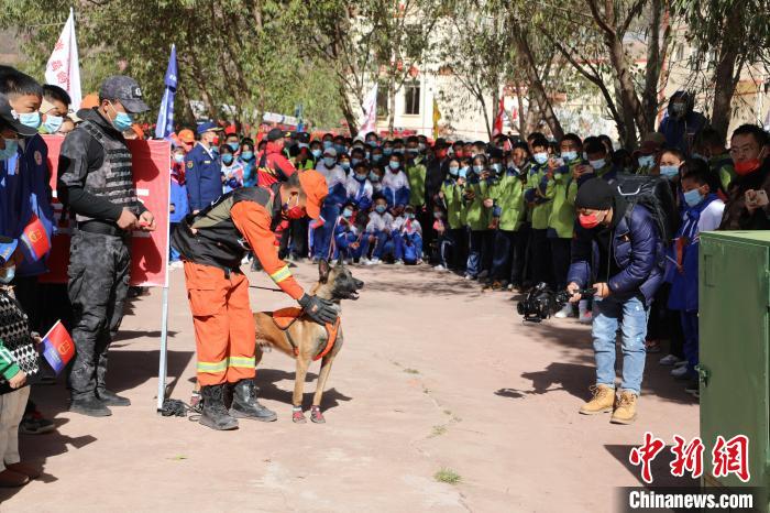 图为搜救犬服从和箱体搜救演练。　赵琳 摄
