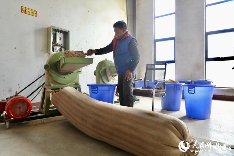 圖為藏香文化展廳內地康巴草、杜鵑葉等珍貴藏香原材料。人民網記者次仁羅布攝