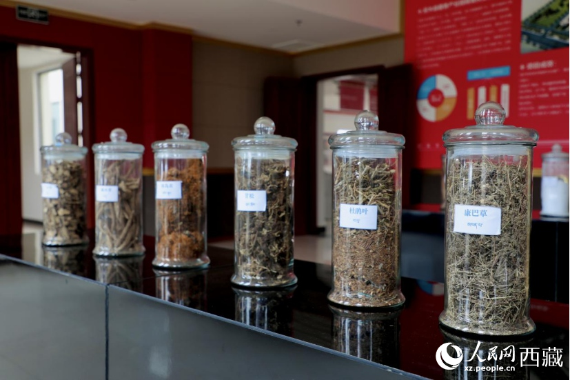 圖為藏香工廠內就業的村民。人民網記者次仁羅布攝