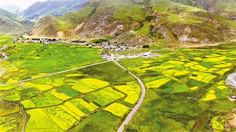 yangnl0771_s.jpg