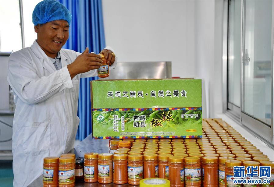 （走向我们的小康生活）（3）西藏朗县：发展辣椒产业 助力脱贫攻坚