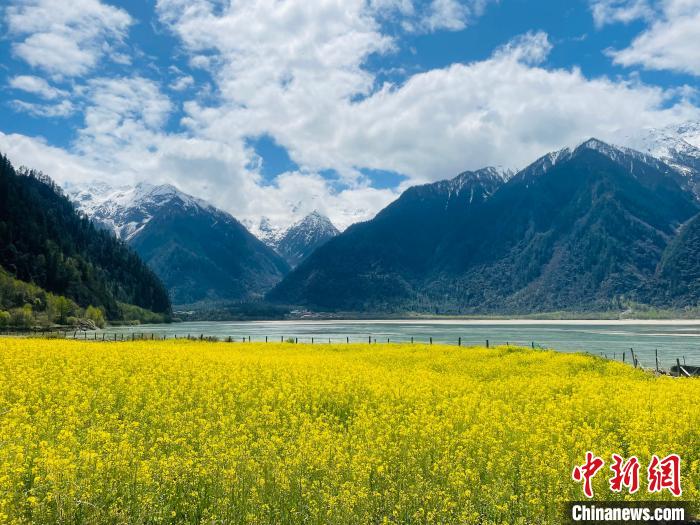 2021年西藏自治区乡村旅游累计接待1274.11万人次